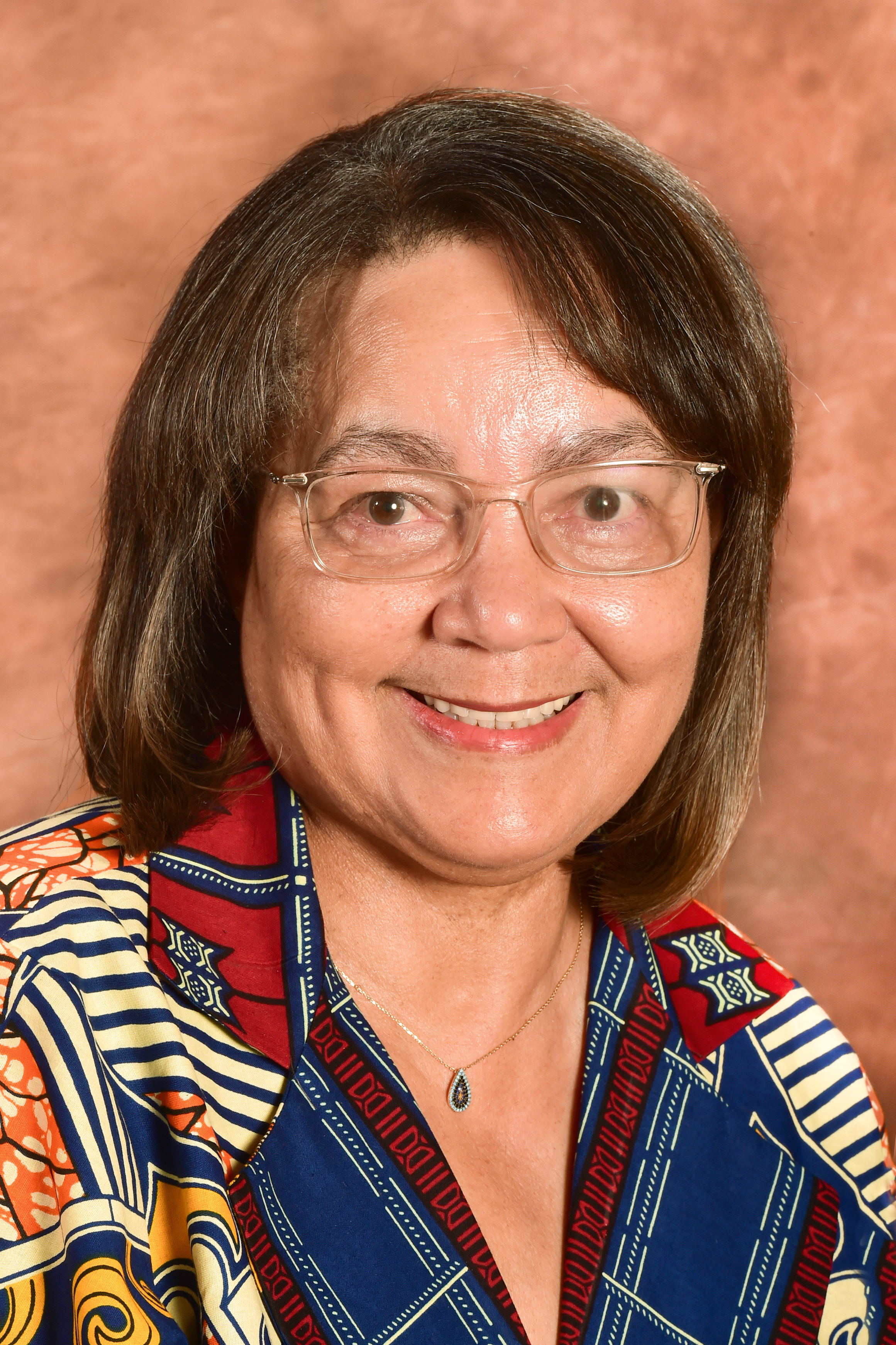 Patricia De Lille Ms South African Government