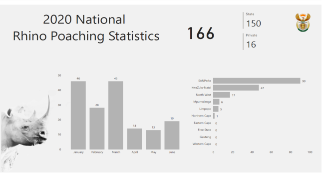 Rhino poaching stats