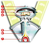 https://www.gov.za/sites/default/files/mapung1%20%281%29.jpg