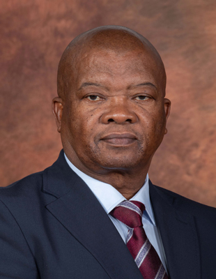 Bantu Holomisa