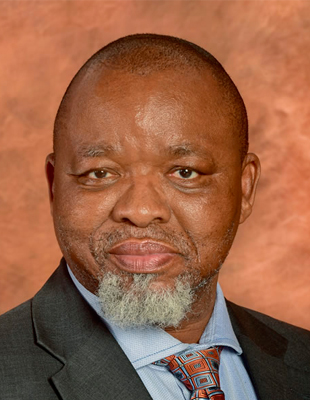 Gwede Mantashe