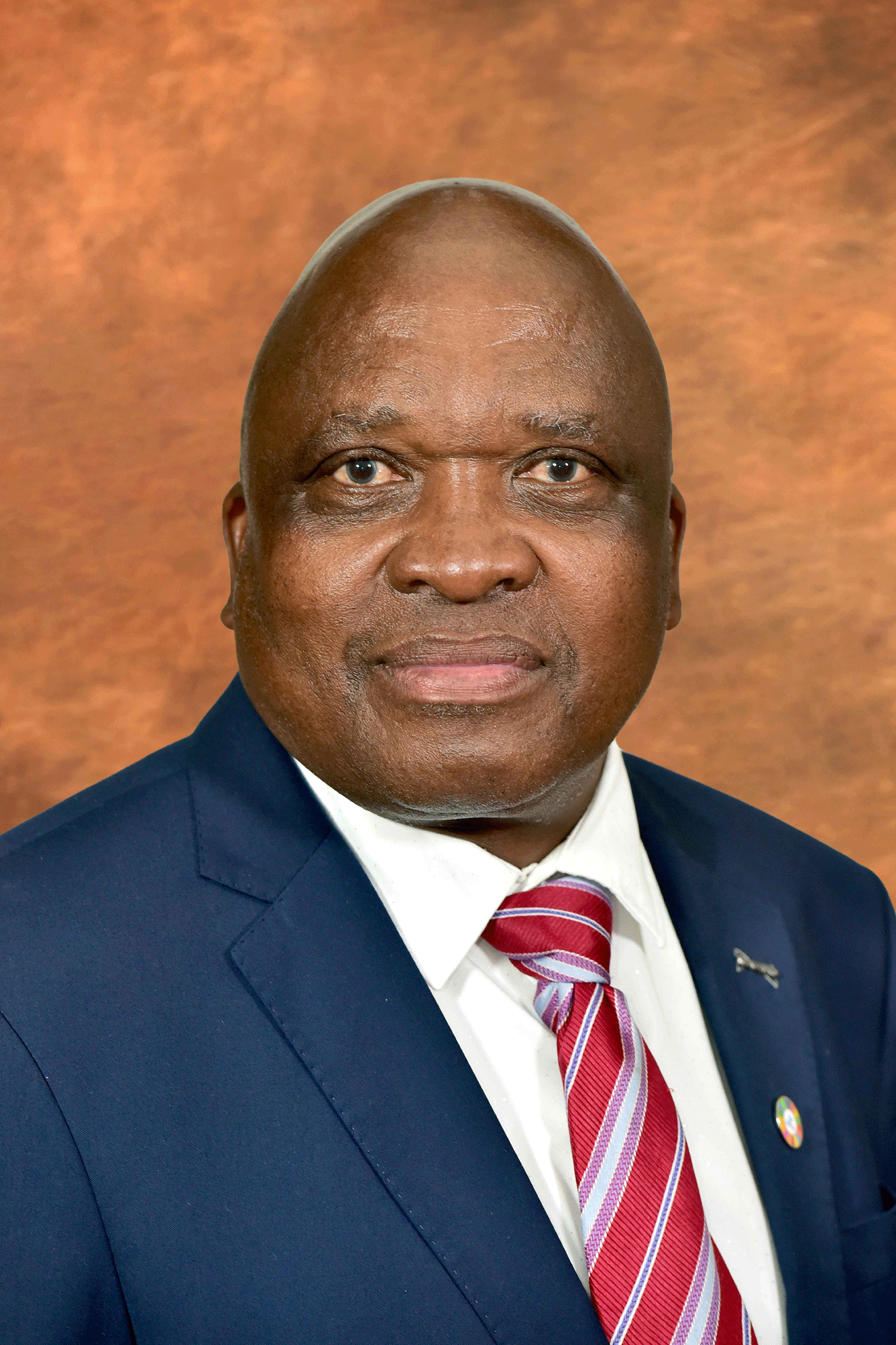 Mathume Joseph 'Joe' Phaahla, Dr South African Government
