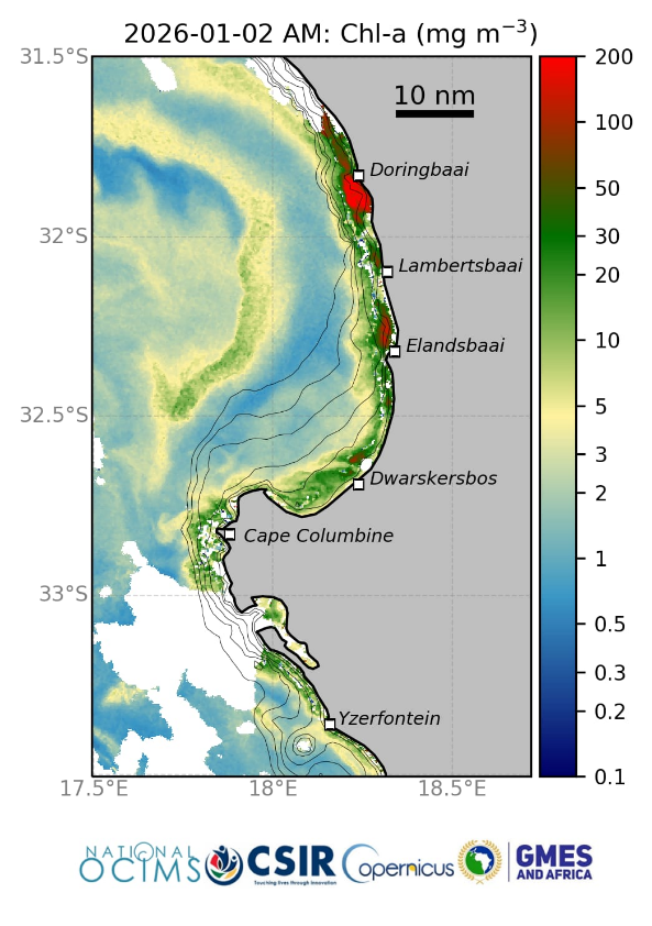 Satellite image of chlorophyll concentrations on the West Coast on 2 January 2026. Cloud cover resulted in zero visibility and imagery on 4 January 2026.