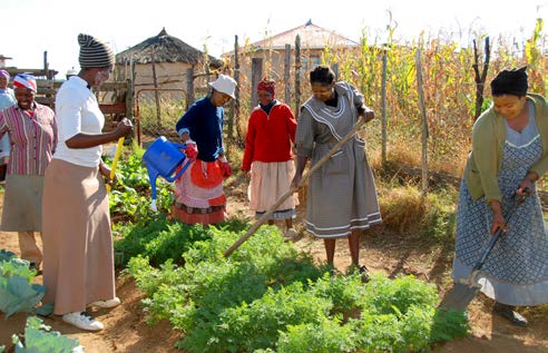 Small-scale farmers